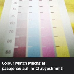Michglasfolie ColourMatch
