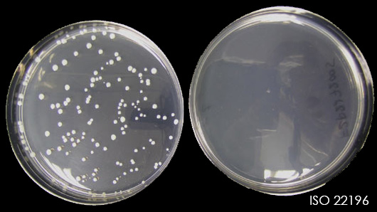 Antimikrobielle Beschichtung