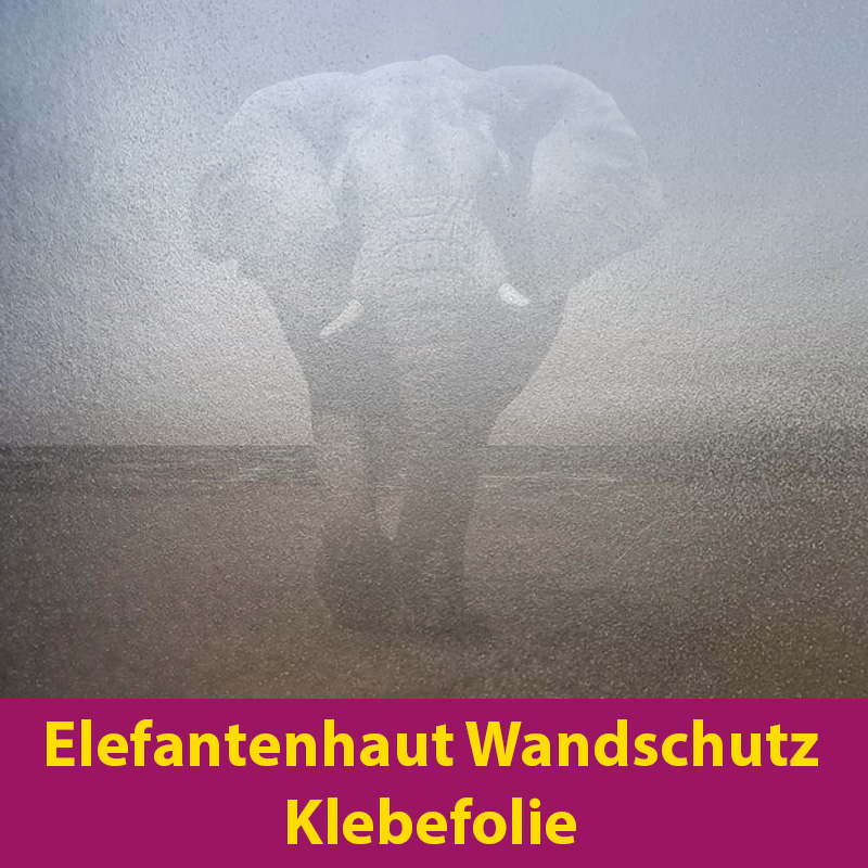 Elefantenhaut Wandschutzfolie für stark beanspruchte Oberflächen