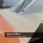 ASLAN DK 3-a.jpg