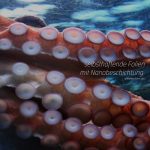 selbsthaftende Folien mit Nanobeschichtung.jpg